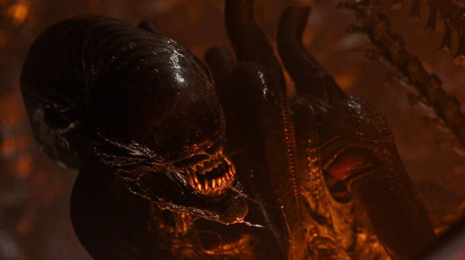 Alien: Earth Review: Everything You Need To Know Before Watching - icuej51