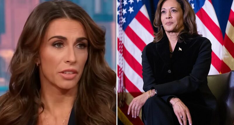 The View co-host blasts Kamala as 'everything that's wrong' with Dems