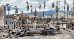 The devastating reality behind surge in deaths on popular Hawaiian island