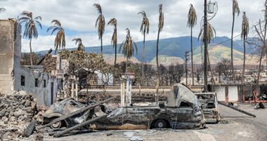 The devastating reality behind surge in deaths on popular Hawaiian island