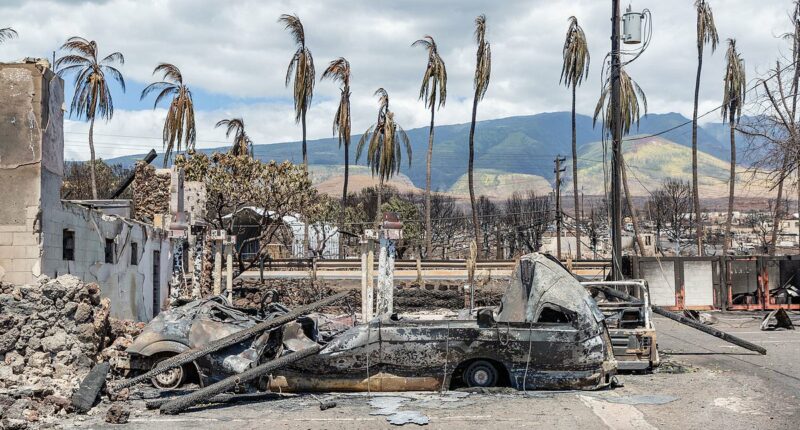 The devastating reality behind surge in deaths on popular Hawaiian island
