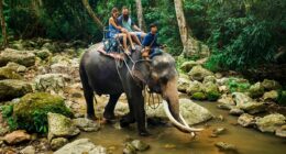 The horrific truth about Thailand's 'human zoos', writes LOLA MENDEZ