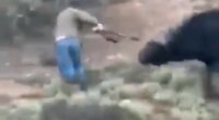 The hunters killed by the very beasts they were hoping to slay
