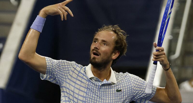The king of tennis meltdowns - who even his wife seems sick of