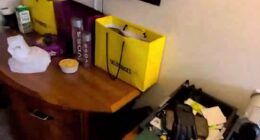 The luxury life of migrant in taxpayer-funded hotel