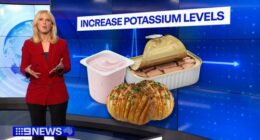 Researchers at Copenhagen University hospital have found adding potassium could slash the risk of heart-related issues by a whopping 24 per cent