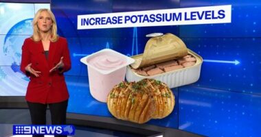 Researchers at Copenhagen University hospital have found adding potassium could slash the risk of heart-related issues by a whopping 24 per cent