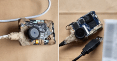 The sinister gadget Sydney man allegedly had on his shoelaces