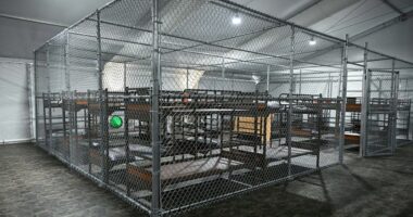 Third federal lawsuit targets Alligator Alcatraz as deportations continue