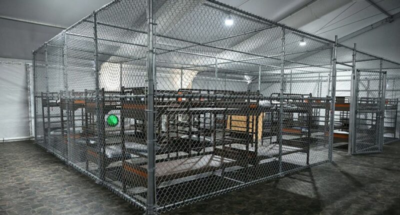 Third federal lawsuit targets Alligator Alcatraz as deportations continue