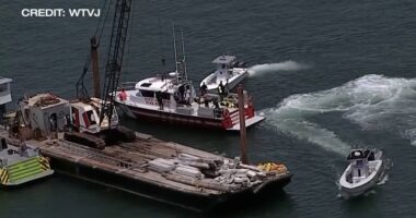 Third girl dies after Miami sailing camp boat crash