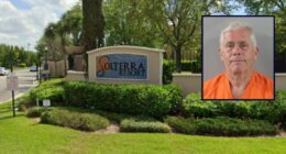 Tourist tries to drown daughter-in-law in pool: Cops