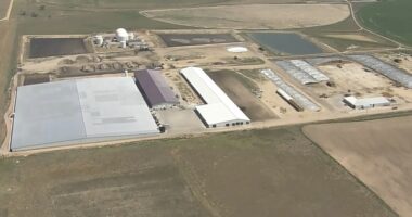 Aerial view of a dairy farm in Keenesburg, Colorado.