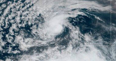 Tropical Storm Erin could become Atlantic season's 1st hurricane later this week, forecasters say