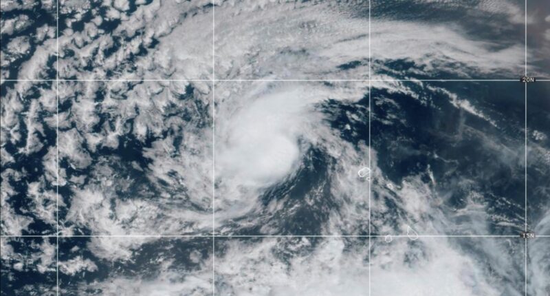 Tropical Storm Erin could strengthen into Category 1 Hurricane Friday, forecasters say