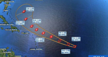 Tropical Storm Erin expected to become powerful hurricane. Check cone, models, more
