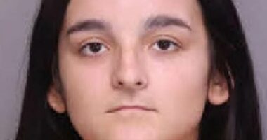 Troubled South Carolina teen arrested over love triangle murder of boy