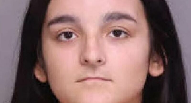 Troubled South Carolina teen arrested over love triangle murder of boy