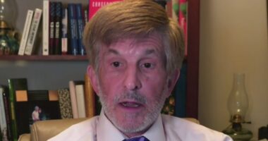 Trump 'fundamentally different' in executive power approach: Allan Lichtman