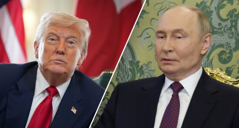 Trump-Putin summit could happen as soon as next week