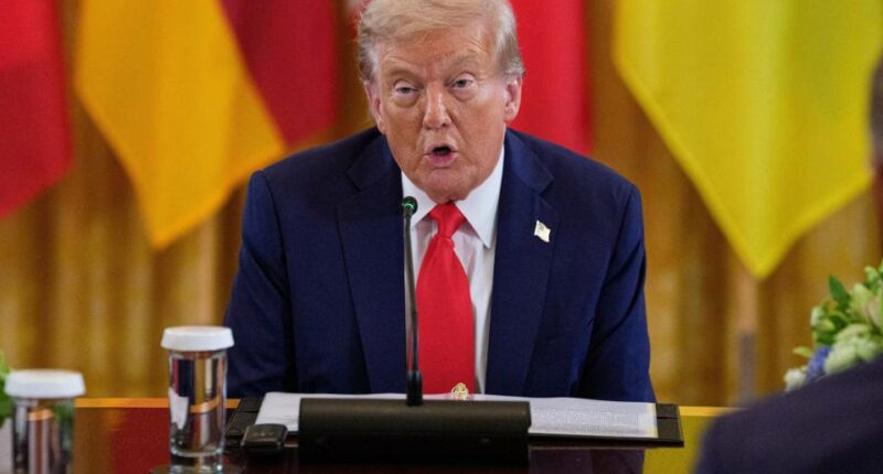 President Donald Trump speaking at a multilateral meeting with European leaders.