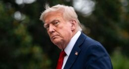 Trump Says Roger Clemens 'Should be in the Baseball Hall of Fame NOW!'