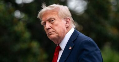 Trump Says Roger Clemens 'Should be in the Baseball Hall of Fame NOW!'