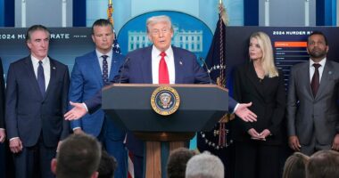 Trump admin assigns military attorneys to prosecute DC crimes amid federal crackdown
