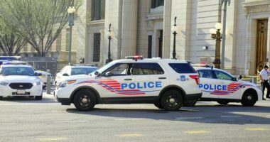Trump admin cutting $20M in DC security funding after federal law enforcement ordered to increase presence
