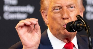 Trump admin. reviewing 55M people with US visas for potential deportable violations