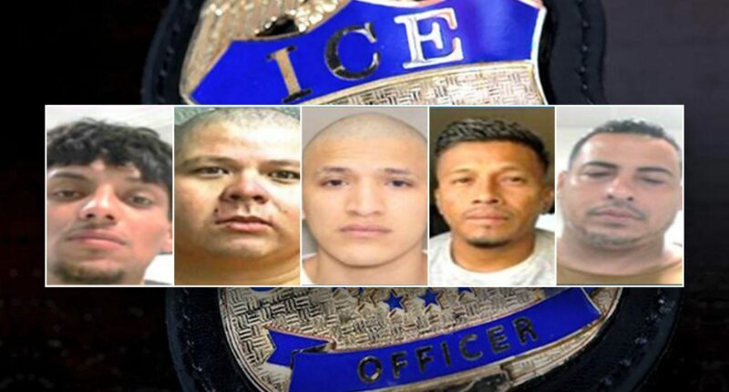 Trump administration arrests 'worst of the worst' criminal illegal immigrants in enforcement sweep