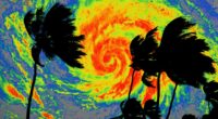 Trump administration suspends FEMA employees who warned about disaster response