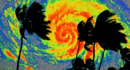 Trump administration suspends FEMA employees who warned about disaster response