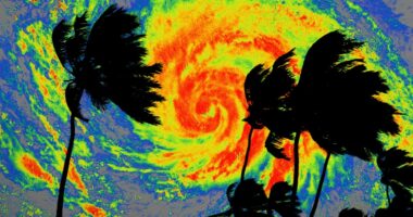 Trump administration suspends FEMA employees who warned about disaster response