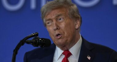 Trump complains Smithsonian too fixated on 'how bad slavery was'