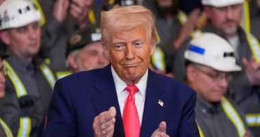Trump cracks down on renewable energy 