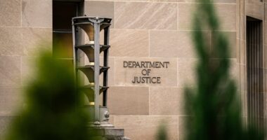 Trump eases rules for hiring temporary immigration judges