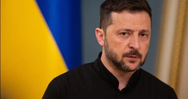 Trump goes after Zelenskyy over 'land swapping' dispute, lays out 'feel out meeting' with Putin