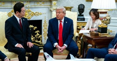 Trump health rumours swirl as armchair experts analyse hand bruising