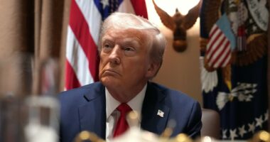 Trump holds Cabinet meeting