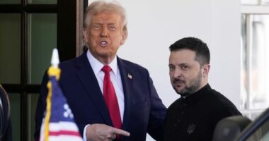 Trump makes bizarre new Ukraine claim hours before crucial meeting