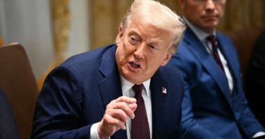 Trump now wants death penalty for DC killers