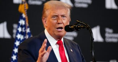 Trump on what it will take to bring Israeli hostages home: Hamas must be 'confronted and destroyed'