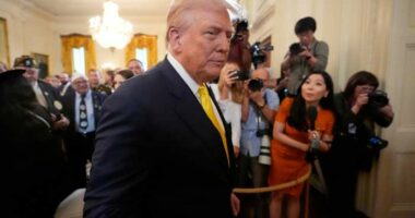 Trump orders increased federal law enforcement presence in Washington to 'make DC safe again'