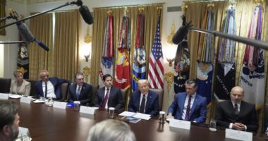 Trump pushes for death penalty in DC murder cases