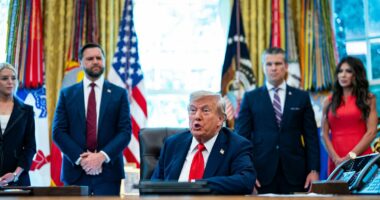Trump suggests many Americans 'like a dictator' as he attacks critics