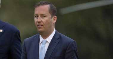 Trump taps Sergio Gor as India ambassador