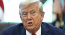 Trump threatens tariffs on countries with digital taxes