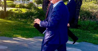 Steve Witkoff and Kirill Dmitriev walking in a park.