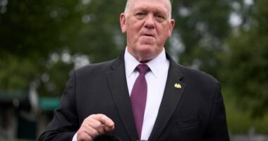 Trump's big bill is powering his mass deportations. Congress is starting to ask questions